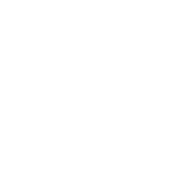 logo light